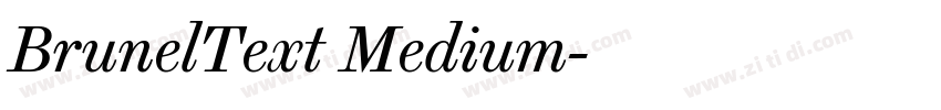 BrunelText Medium字体转换